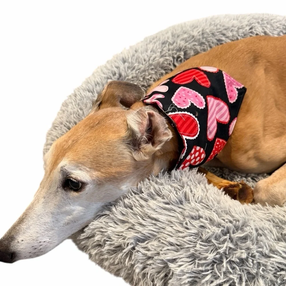 Floral and Hearts Reversible Scrunchie Handmade Dog Bandana - Pink and White
